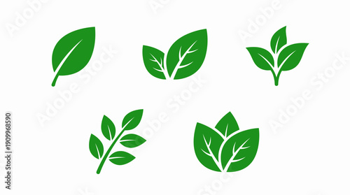Green leaves on white background. Spring Vector Packs. EPS Editable