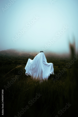 Fotografie Beware the ghost of the misty mountain - modern paranormal photo ghostly apparit