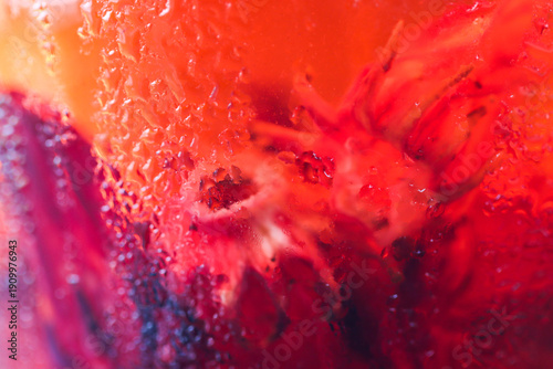 Abstract Macro Texture of Condensation Water Drops on Glass with Red Roselle Hibiscus Background, Refreshing Cold Drink Concept for Bakery Cafe Menu, Artistic Organic Botanical Beverage Texture