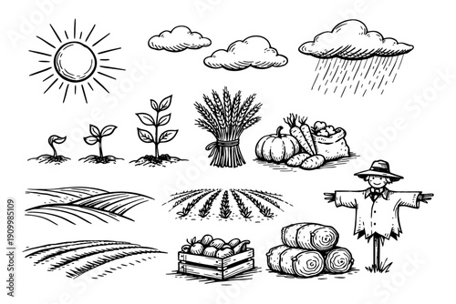 Hand-drawn farm elements: sun, crops, harvest, rain, scarecrow, clouds