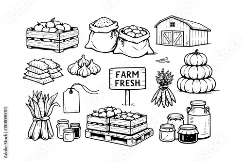 Farm fresh produce: barn, fruits, vegetables, jars, garlic, corn, pumpkins, crates, sacks