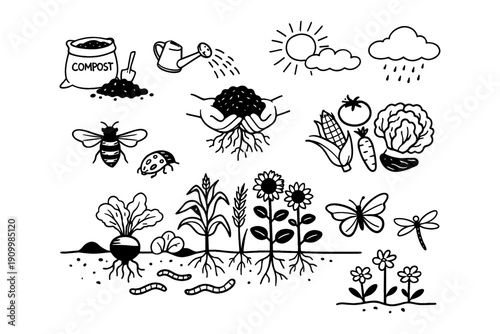 Organic gardening elements: compost, sun, rain, insects, plants, flowers, vegetables