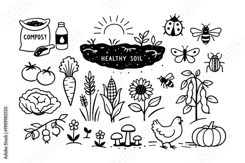 Healthy soil and organic farming elements with insects and plants