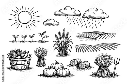 Hand-drawn agricultural elements: sun, clouds, crops, harvest icons black and white illustration