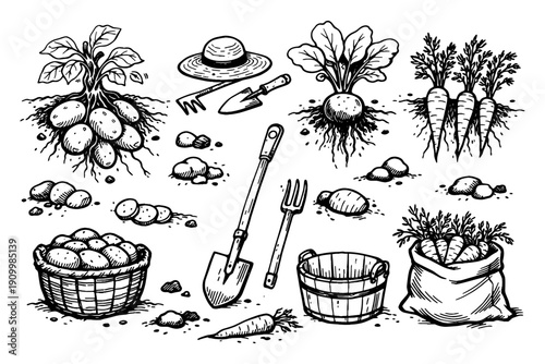 Black and white illustrations of root vegetables and gardening tools