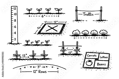 Garden planting guide with spacing and trellis instructions