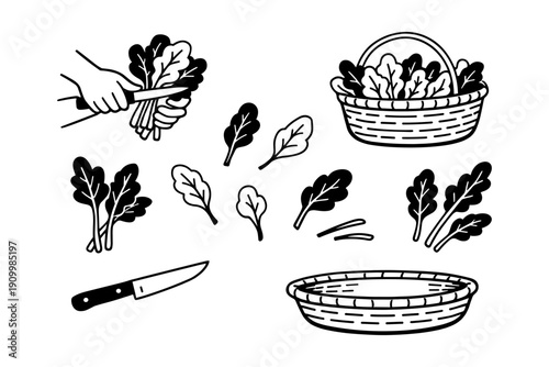 Monochrome leafy greens: harvesting, preparing, and basket arrangement