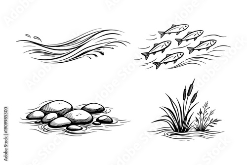 Ink art illustrations of water, fish, rocks, and aquatic plants