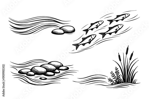 Stylized outline of fish, water currents, rocks, and aquatic plants in black and white