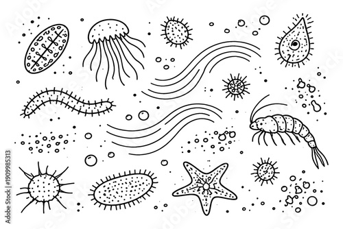 Hand-drawn microorganisms and marine life sketch with bacteria and algae