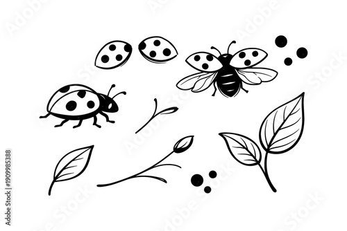 Black and white ladybugs and leaf sketches with botanical elements