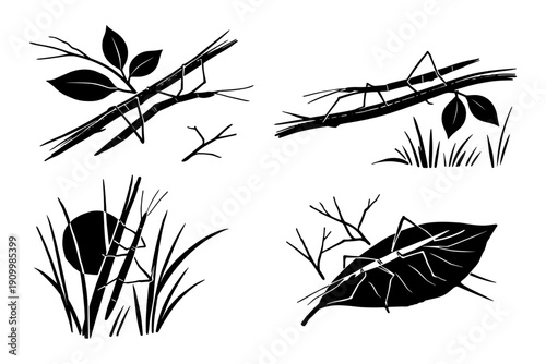 Silhouette of stick insects on branches and leaves in natural habitat