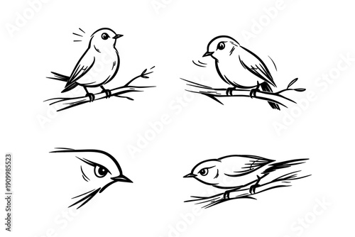 Black and white bird sketches on branch: diverse poses and expressions