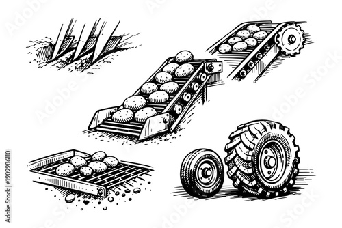 Black and white agricultural tools and potatoes illustration