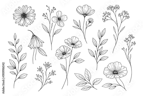 Black and white floral pattern with various flowers and leaves
