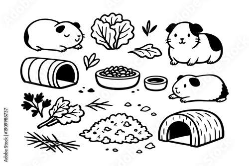 Cartoon guinea pigs with food and shelters in black and white illustration