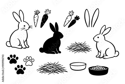 Cartoon rabbits with carrots, paw prints, and hay illustrations