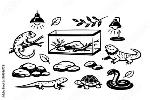 Reptile terrarium setup with lizards, turtle, and snake illustrations