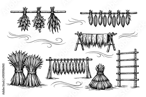 Hand-drawn harvest elements: corn, herbs, wheat bundles and drying rack illustrations
