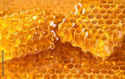 Wallpaper Mural honeycomb with flowing honey syrup.Hexagonal honeycombs filled with golden honey. Torontodigital.ca