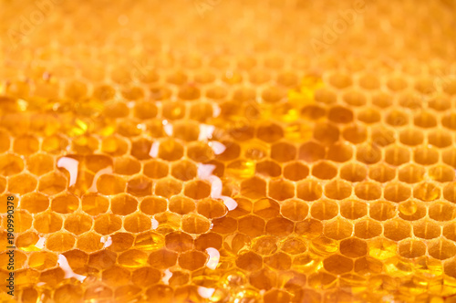 Wallpaper Mural honey texture close up in the detail. Fresh honey dripping from the honeycombs. Torontodigital.ca