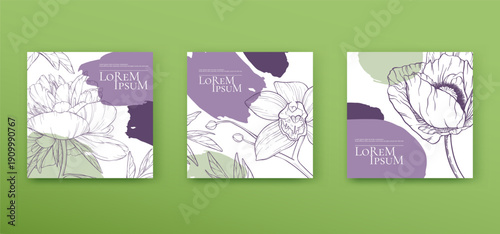 Spring flowers square vector banner templates set. Linear poppy, big blooming peony, open orchid buds. Graphic botanical posters collection. Hand drawn floral ads layout. Simple abstract plant design