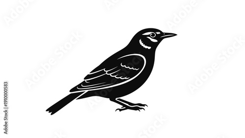 Black Bird Silhouette Profile Illustration.