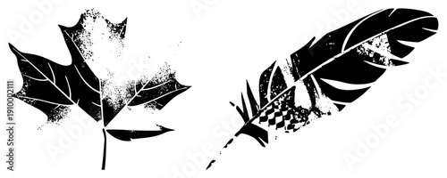 Graphic design featuring maple leaf and feather, silhouette, textured vintage look, nature symbols, artistic vector illustration.