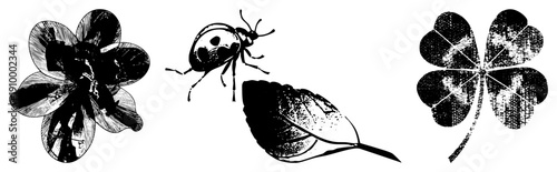 Hand drawn botanical illustrations featuring a flower, ladybug on leaf, and four leaf clover, rendered in halftone texture with ink style shading, ideal for vintage design or nature themed projects.