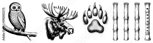 Owl perched on branch, moose head with antlers, animal paw print, bamboo flute segments classic engraved illustrations, nature motifs, rustic vector art.