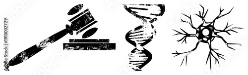 Black and white vector judge’s gavel, genetic DNA strand, neural neuron cell. Stylized, textured, isolated symbols for law, biology, neuroscience.