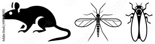 Vector of rat, mosquito, and fly in minimalist black silhouette, isolated graphic, pest control symbols, flat design, pest identification, public health illustration.