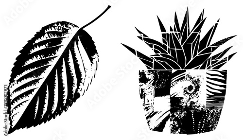 Graphic illustration of a detailed leaf and spiky succulent in, halftone texture, botanical design, isolated vector elements, nature motifs.