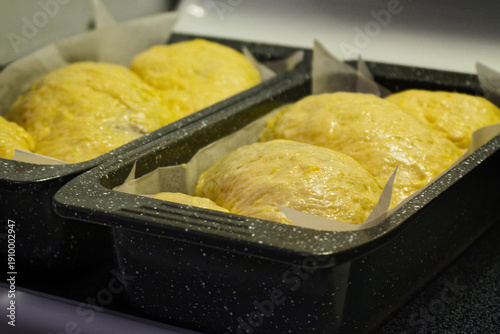 Freshly Rising Bread Loaves