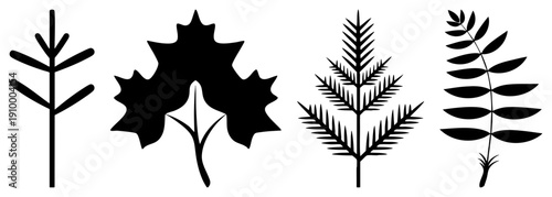 Black vector of diverse foliage pine, maple, fern, and compound leaf. Botanical, nature graphics, eco design elements.