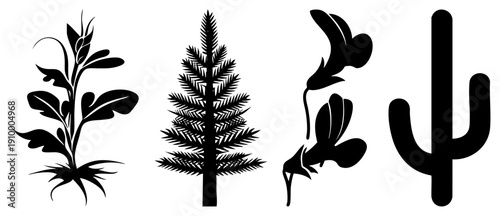 Black vector of corn stalk, pine tree, orchid blooms, and cactus plant, minimalist nature, plant illustrations, botanical design elements.