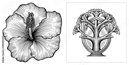 Detailed art of hibiscus bloom with textured petals and central stamen, paired with symmetrical stylized tree emblem. Botanical illustration, graphic design element, vector art.