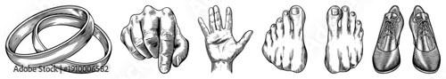 Vintage engraved style illustrations of wedding bands, pointing finger, open palm, foot sole, toes, and dress shoes, vector art, symbolic body.