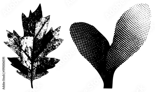 Graphic design featuring oak leaf with distressed texture and abstract leaf in dot, vector illustration, black and white, nature motif, artistic rendering.