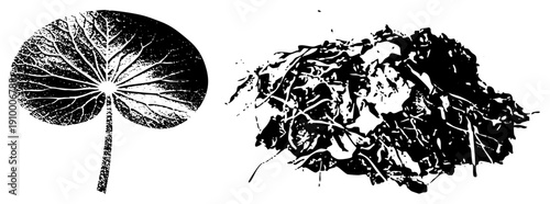 Graphic vector illustration of two leaves, one symmetrical with radial veins, one textured and crumpled, both in halftone style.