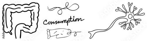 Simplified biological illustrations intestines, consumption label, fish, neuron. Educational vector for anatomy, neuroscience, or diet studies.