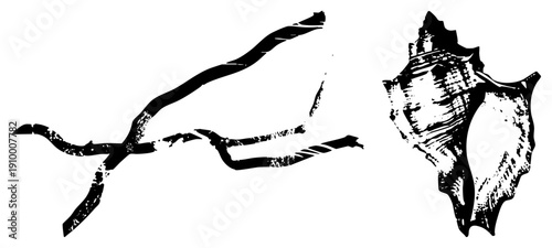 Graphic vector of and driftwood branch, marine motif, coastal decor, beach art, black and white illustration, nature silhouette.