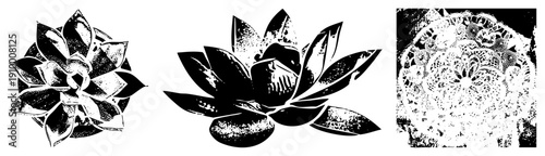 Graphic vector succulents with halftone shading, geometric leaf, design, botanical illustration, minimalist plant art.