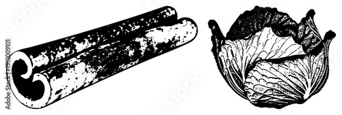 Hand drawn botanical sketch of cinnamon bark and cabbage head, art, culinary ingredients, rustic food illustration, textured botanical design.