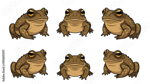 Six Cartoon Toads Illustration Set. Cute Brown Amphibians in Various Poses, Isolated on White Background