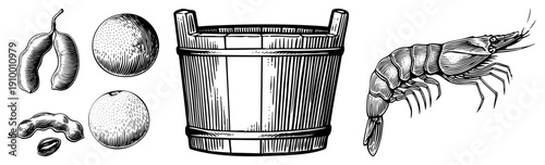 Hand drawn wooden bucket, tropical fruits like oranges and beans, shrimp illustration, rustic engraving style, food market, culinary vector art.