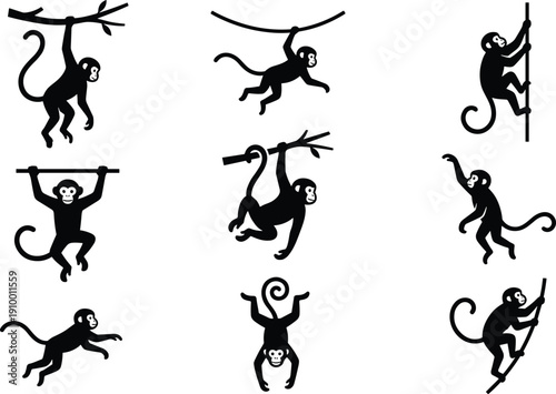 Monkey silhouettes set isolated on white background showing playful primate poses representing jungle wildlife, animal behavior, tropical forest life, cartoon style illustration, and nature concept