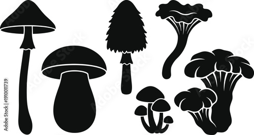 Mushroom silhouette collection isolated on white background featuring different fungi shapes representing forest nature, botanical elements, organic food, wild mushrooms, and illustration 