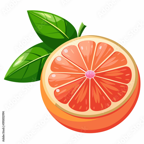 colorful illustration of a Ripe Grapefruit Cut in Half Close Up