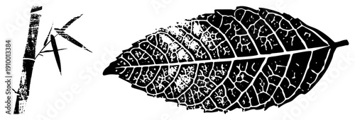Bamboo stalk with leaves and textured leaf with vein, botanical illustration, nature graphic, design, vector art.